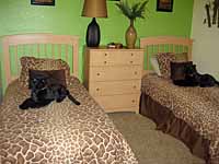 two twin beds - click to enlarge